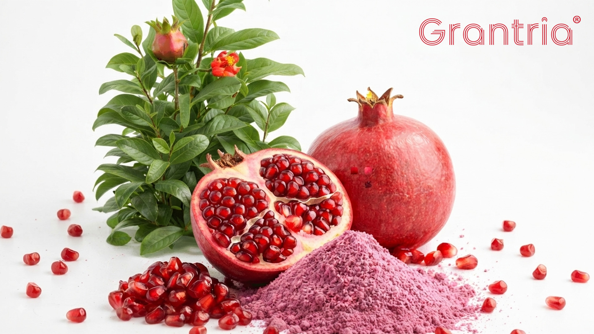 grantria